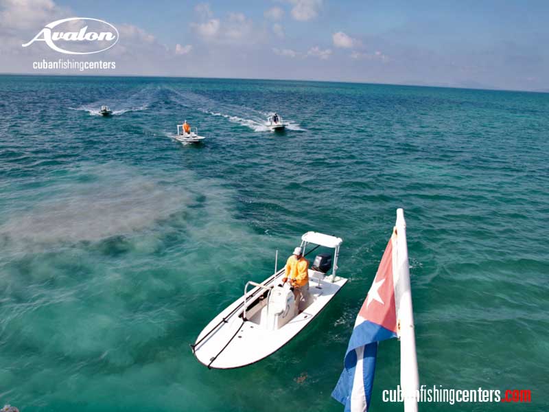 Skiffs Fishing Boats Cuban Fishing Centers Avalon